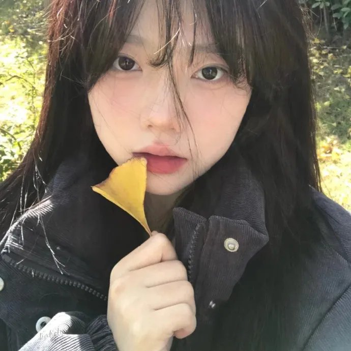 爱的引擎