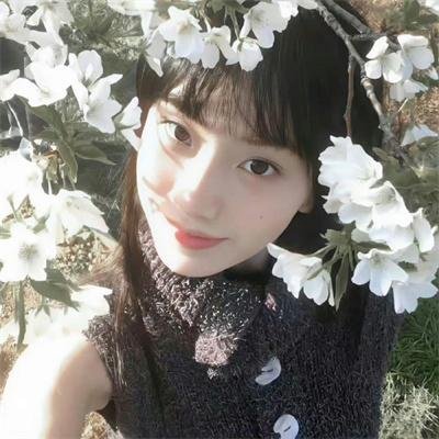 大红狗